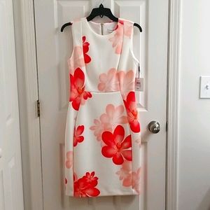 Calvin Klein Floral Print Dress